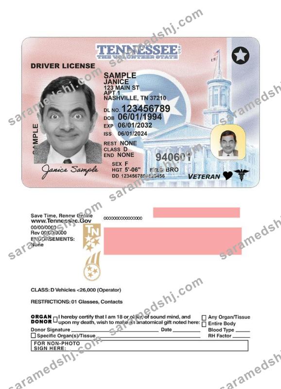 USA Tennessee driving license 2024-present